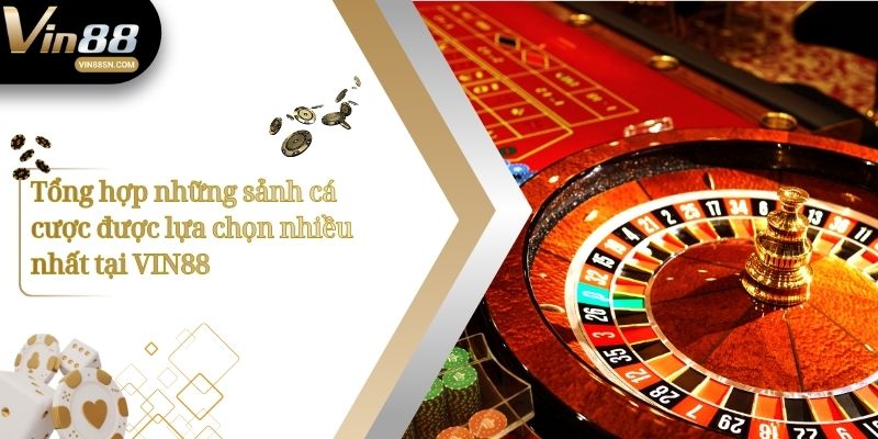 Tổng hợp những sảnh cá cược được lựa chọn nhiều nhất tại VIN88