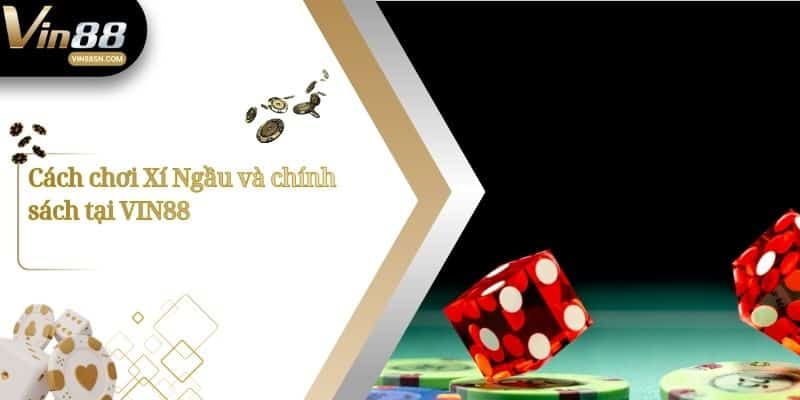 Cách chơi Xí Ngầu và chính sách tại VIN88